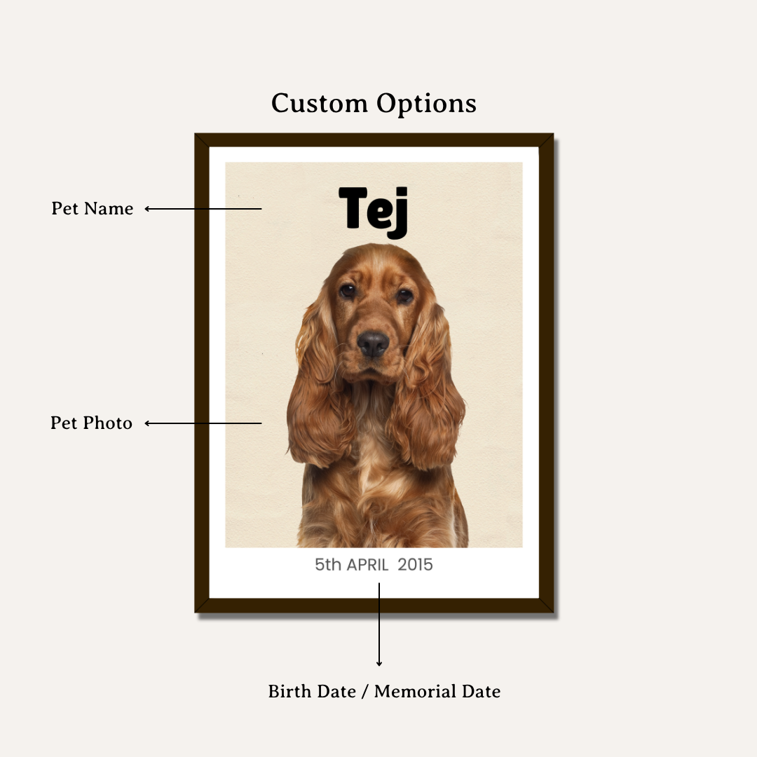 Personalized Pet Portrait Photo Frame | Custom Minimalist Pet Art custom Premium Wall Art Canvas by MeriDeewar