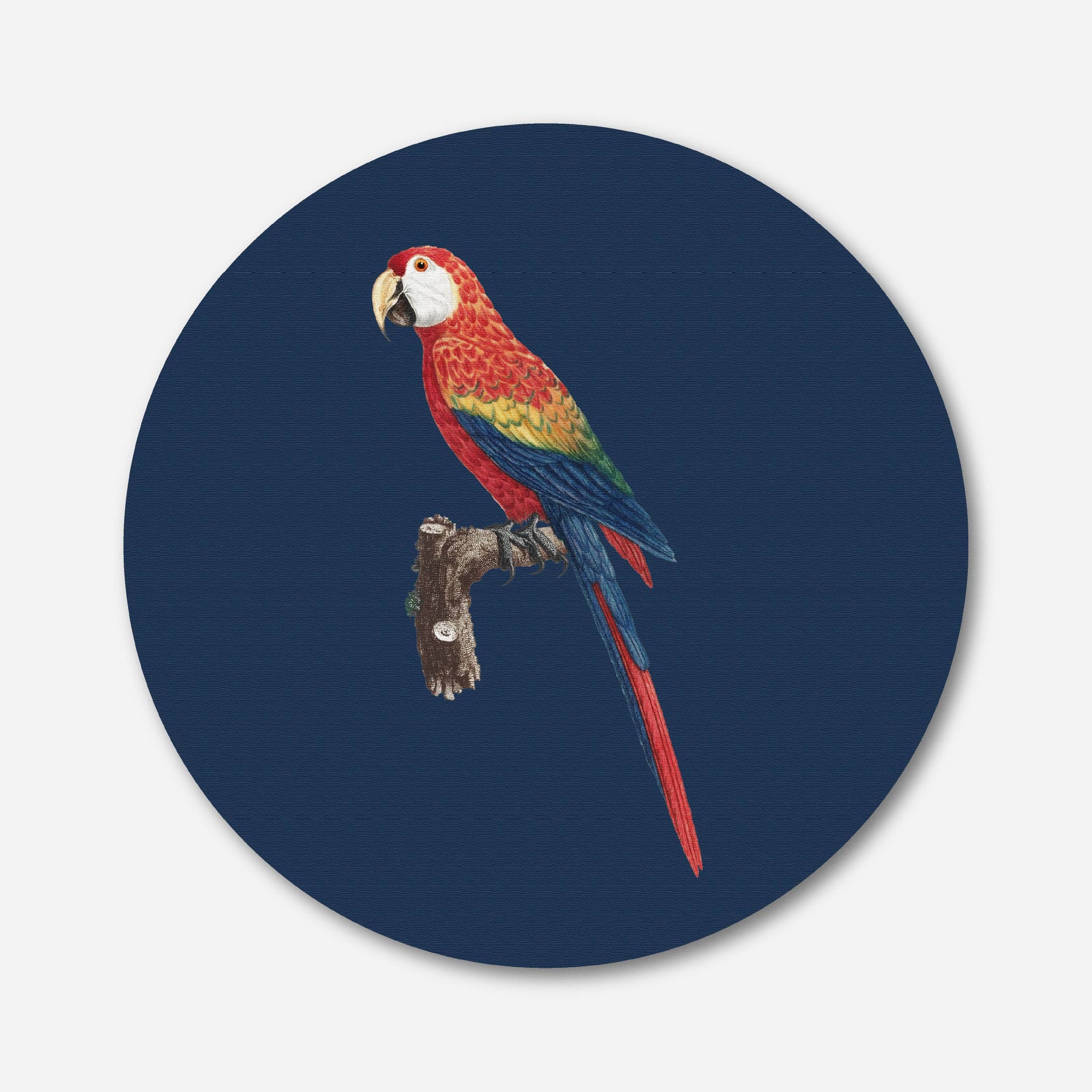 Red and Green Macaw Painting Circular Canvas Frame Circular Canvas Frame Premium Wall Art Canvas by MeriDeewar