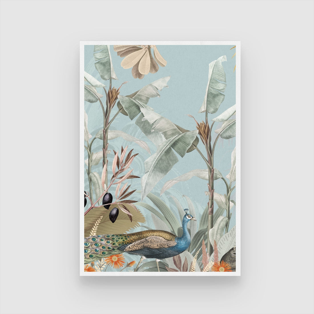 Regal Peacock Study — Vintage Botanical Bird Print 2 : 3 Vertical Premium Wall Art Canvas by MeriDeewar
