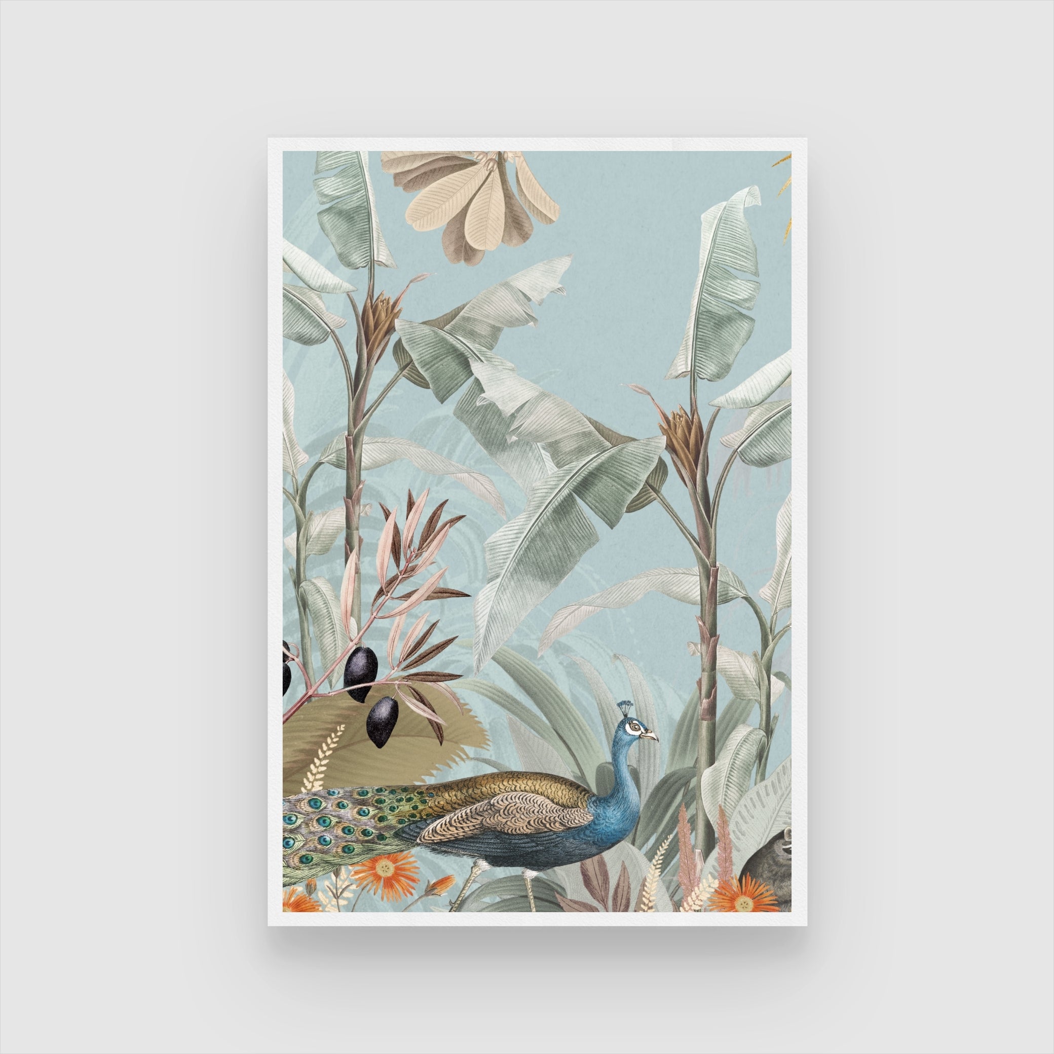 Regal Peacock Study — Vintage Botanical Bird Print 2 : 3 Vertical Premium Wall Art Canvas by MeriDeewar