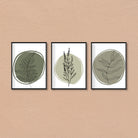 sage green wall art set of 3 Walls Premium Wall Art Canvas by MeriDeewar
