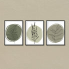 sage green wall art set of 3 Walls Premium Wall Art Canvas by MeriDeewar