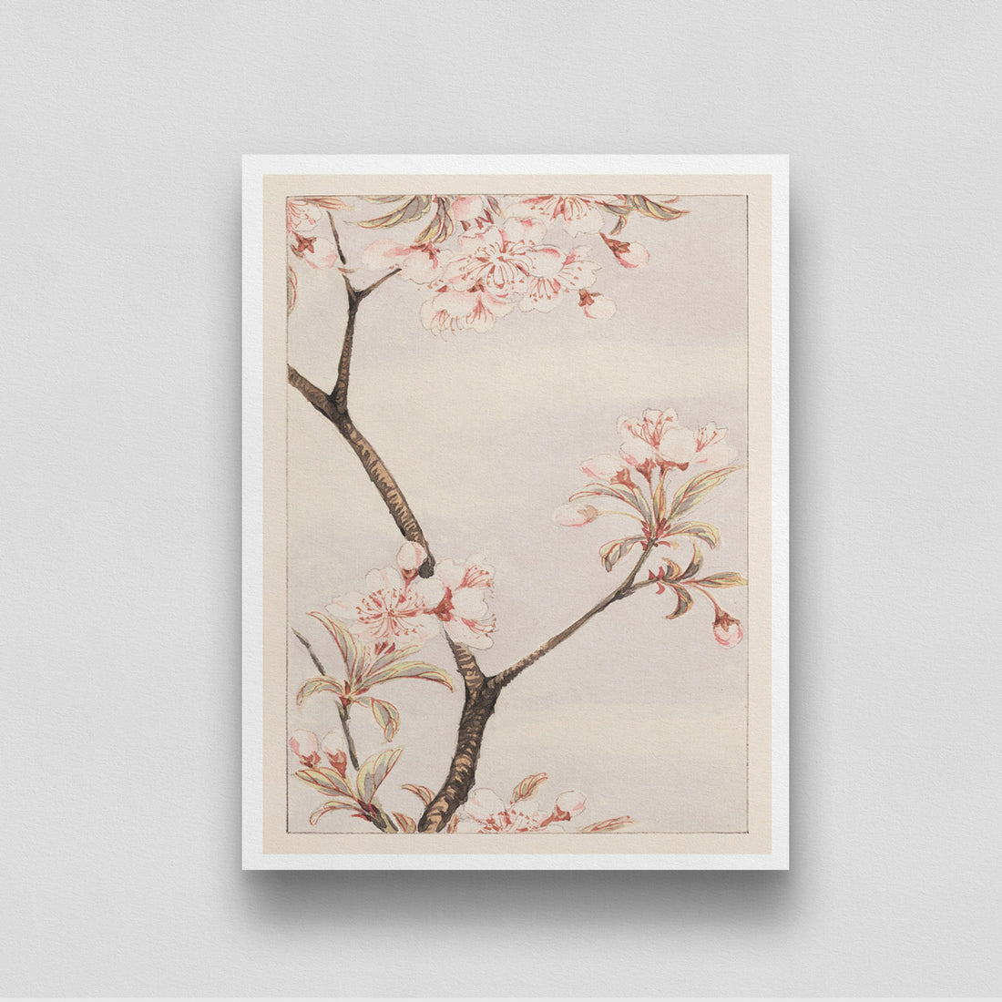 Sakura/cherry tree branch with Pink Flowers by Megata Morikaga 3 : 4 Vertical New Premium Wall Art Canvas by MeriDeewar