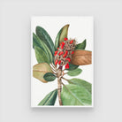Scarlet Seeds – Botanical Leaf & Pod Canvas Wall Art 2 : 3 Vertical Premium Wall Art Canvas by MeriDeewar