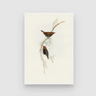 Serene Bird and Botanical Canvas Art: Add Natural Beauty 2 : 3 Vertical Premium Wall Art Canvas by MeriDeewar