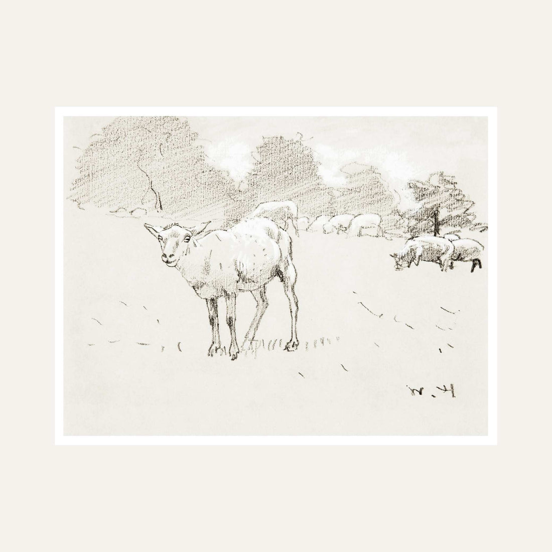 Sheep Grazing Scenery Painting for Living Room | Minimalist Sketch Wall Art | Giclée Print 6 : 5 Horizontal Premium Wall Art Canvas by MeriDeewar