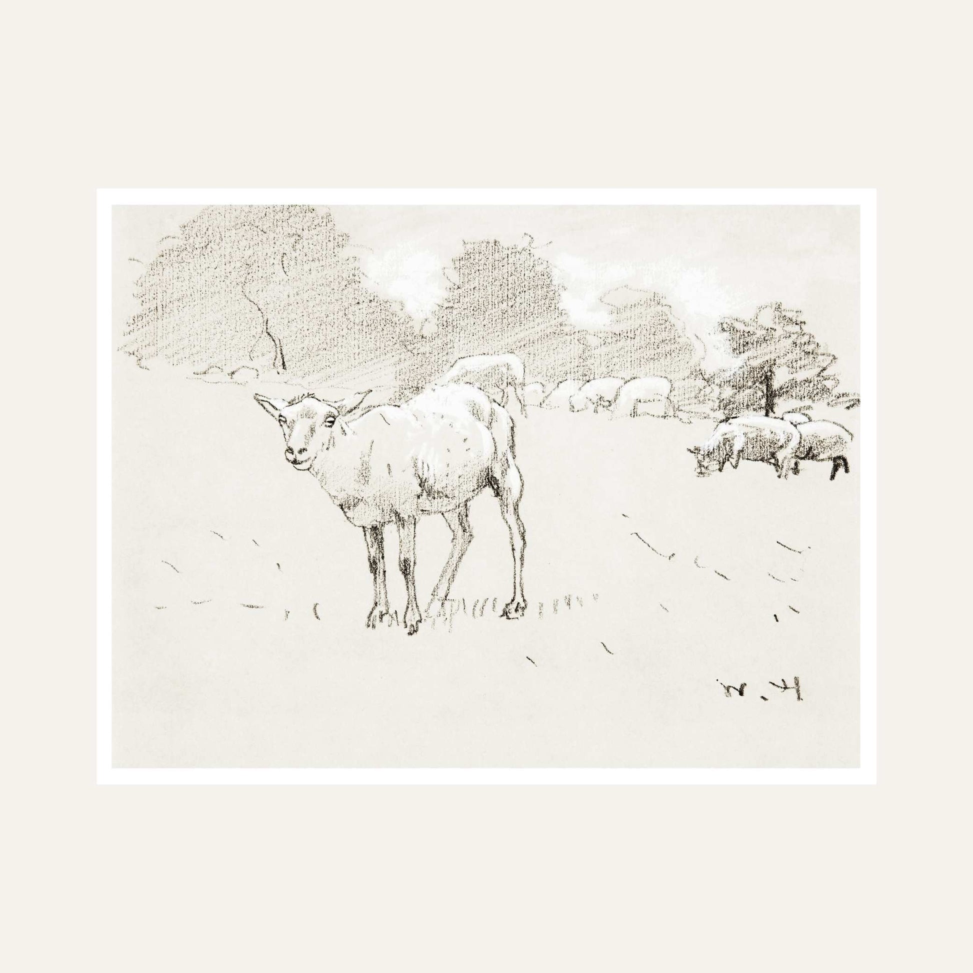 Sheep Grazing Scenery Painting for Living Room | Minimalist Sketch Wall Art | Giclée Print 6 : 5 Horizontal Premium Wall Art Canvas by MeriDeewar
