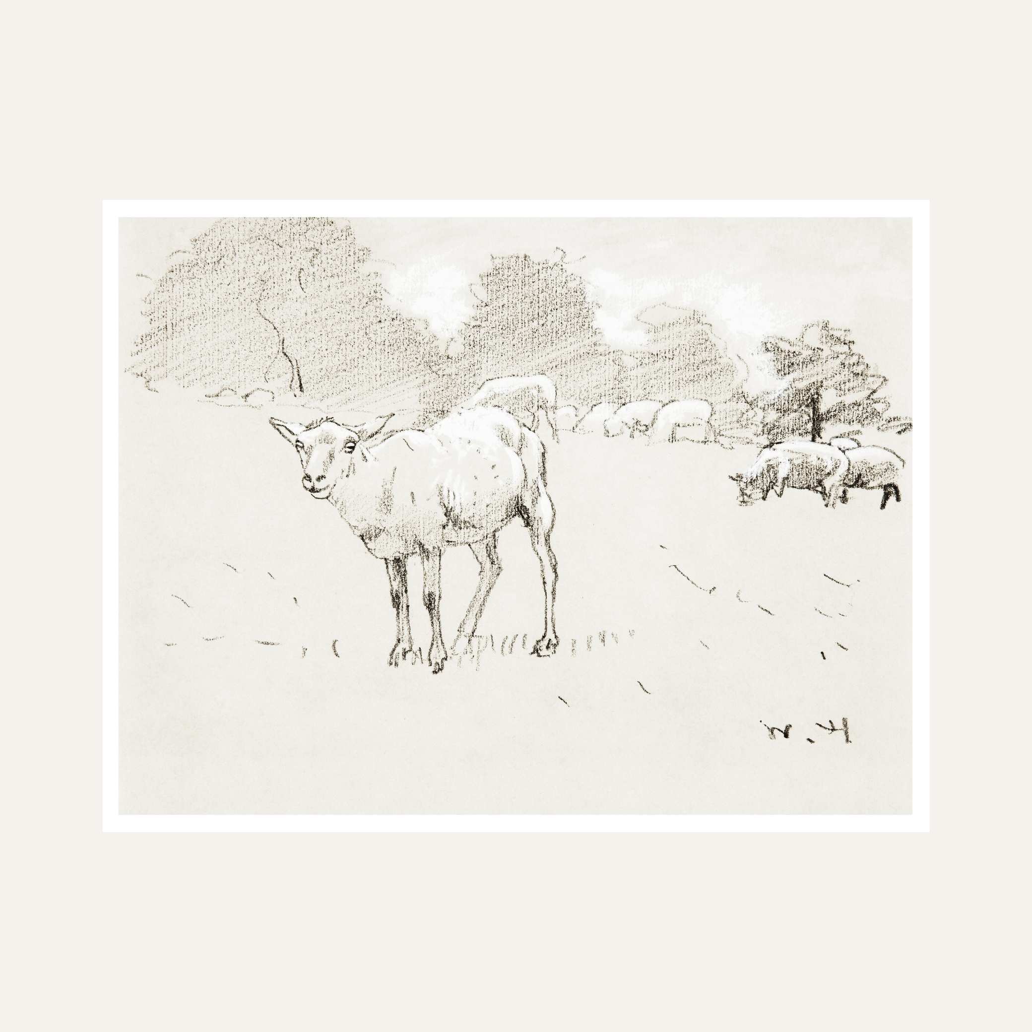 Sheep Grazing Scenery Painting for Living Room | Minimalist Sketch Wall Art | Giclée Print 6 : 5 Horizontal Premium Wall Art Canvas by MeriDeewar