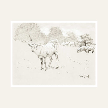 Sheep Grazing Scenery Painting for Living Room | Minimalist Sketch Wall Art | Giclée Print 6 : 5 Horizontal Premium Wall Art Canvas by MeriDeewar