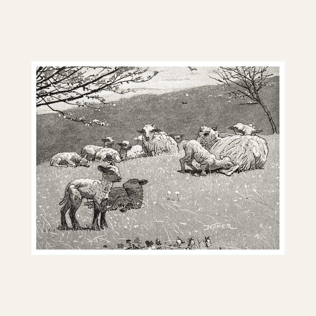Sheep & Lambs Pastoral Scenery Painting for Living Room | Vintage Nature Wall Art Print 6 : 5 Horizontal Premium Wall Art Canvas by MeriDeewar