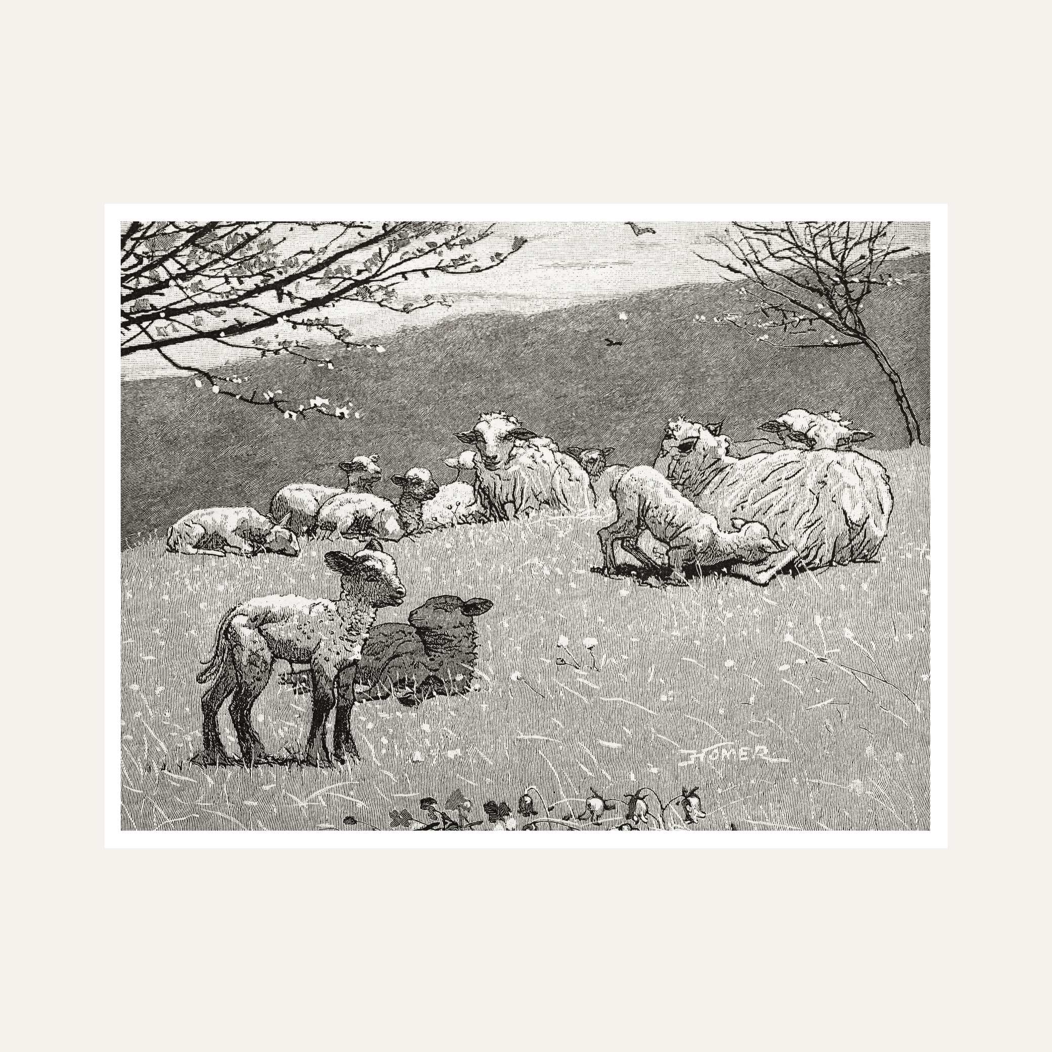 Sheep & Lambs Pastoral Scenery Painting for Living Room | Vintage Nature Wall Art Print 6 : 5 Horizontal Premium Wall Art Canvas by MeriDeewar