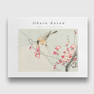 Songbird on a Blossom Branch Painting by Ohara Koson 3 : 4 Horizontal New Premium Wall Art Canvas by MeriDeewar