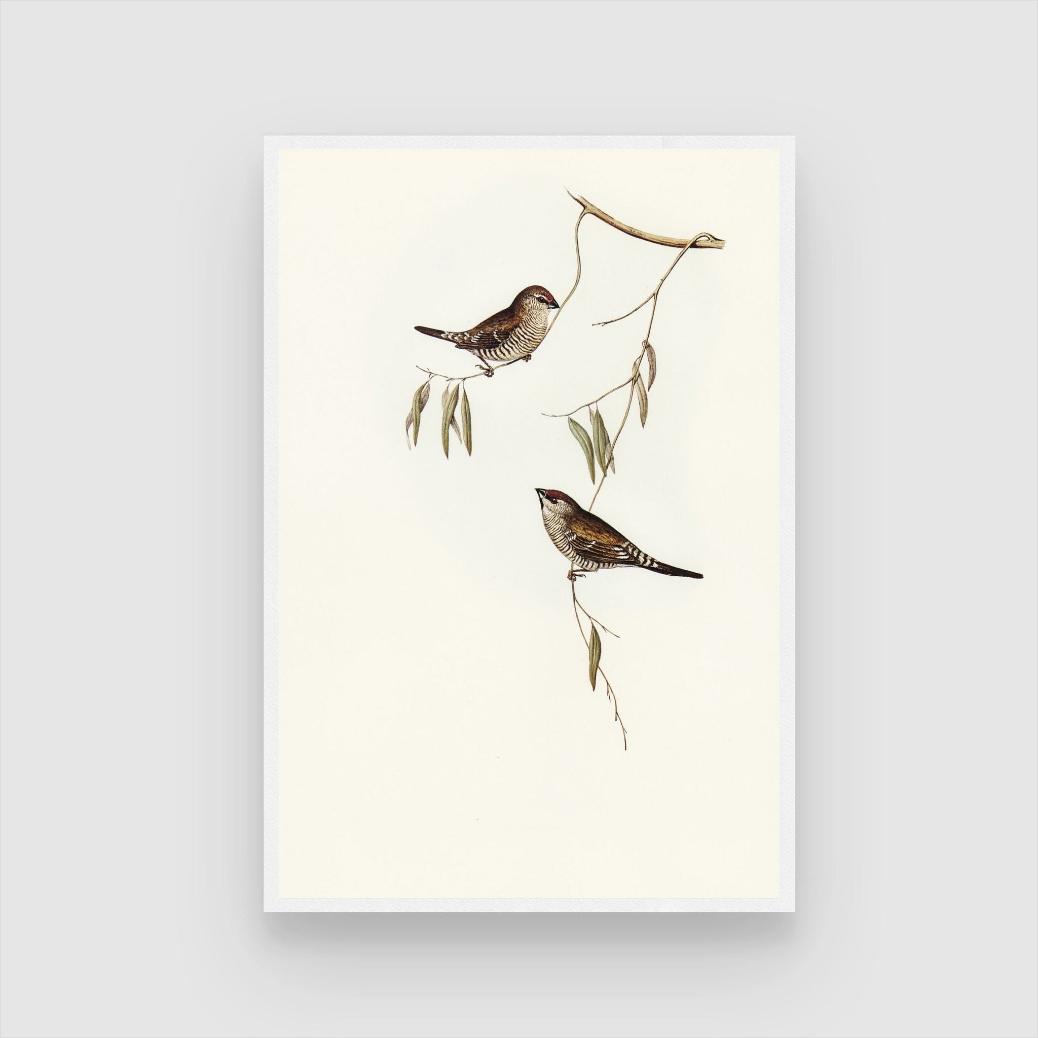 Stunning Bird Canvas: Unique Artwork for Living Spaces 2 : 3 Vertical Premium Wall Art Canvas by MeriDeewar