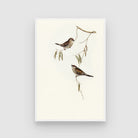 Stunning Bird Canvas: Unique Artwork for Living Spaces 2 : 3 Vertical Premium Wall Art Canvas by MeriDeewar