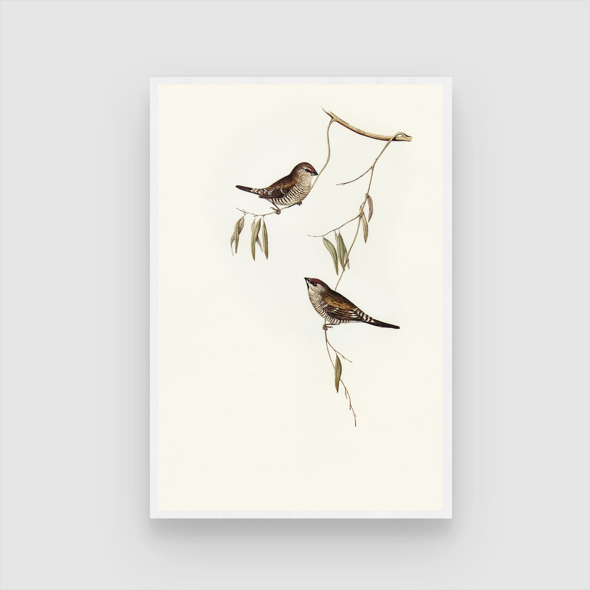 Stunning Bird Canvas: Unique Artwork for Living Spaces 2 : 3 Vertical Premium Wall Art Canvas by MeriDeewar