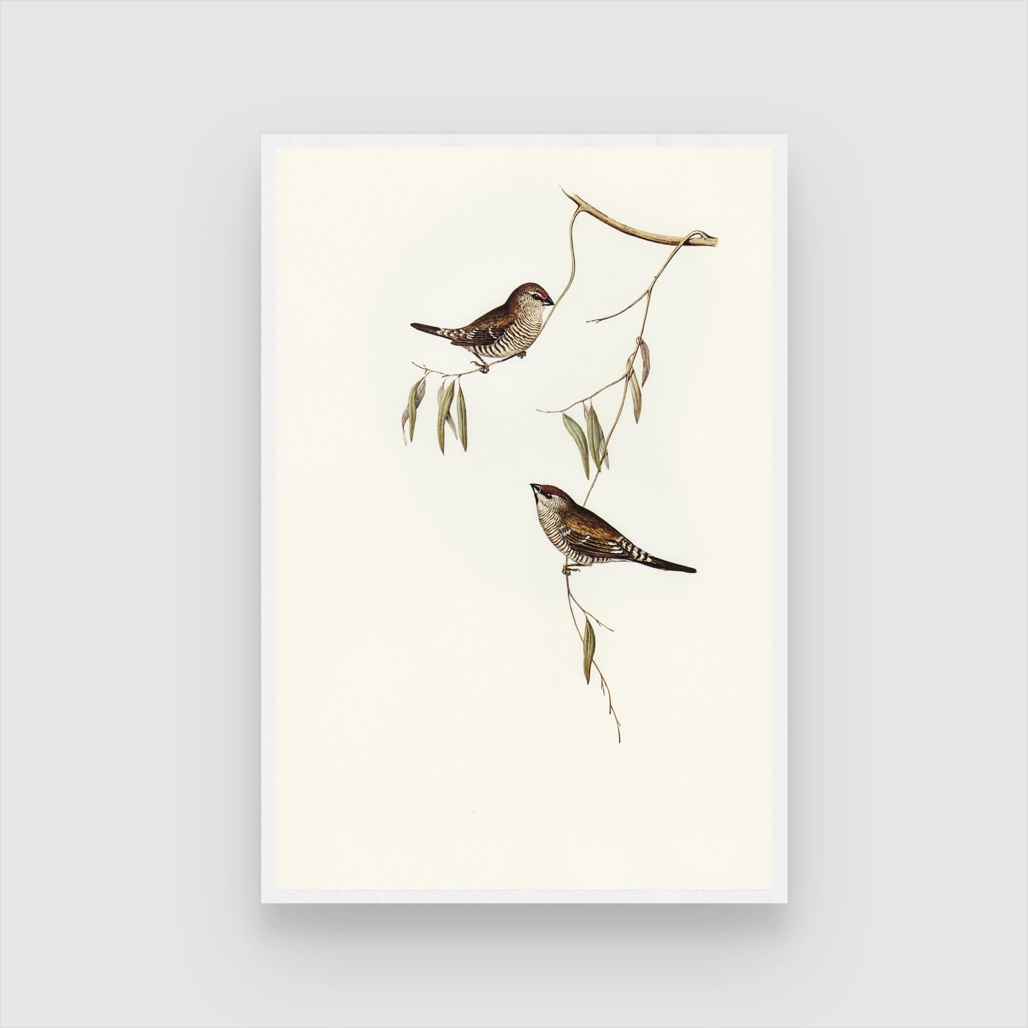 Stunning Bird Canvas: Unique Artwork for Living Spaces 2 : 3 Vertical Premium Wall Art Canvas by MeriDeewar