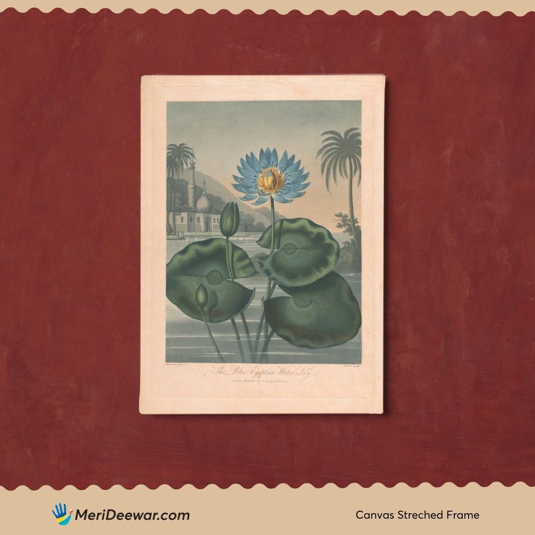 The Blue Egyptian Water Lily Vintage painting 3 : 4 Vertical New Premium Wall Art Canvas by MeriDeewar