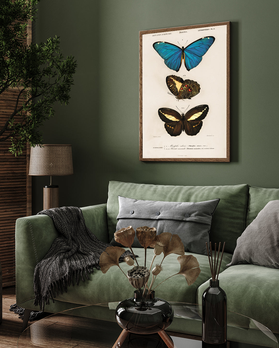 Three Colorful Butterflies Poster 3 : 4 Vertical New Premium Wall Art Canvas by MeriDeewar