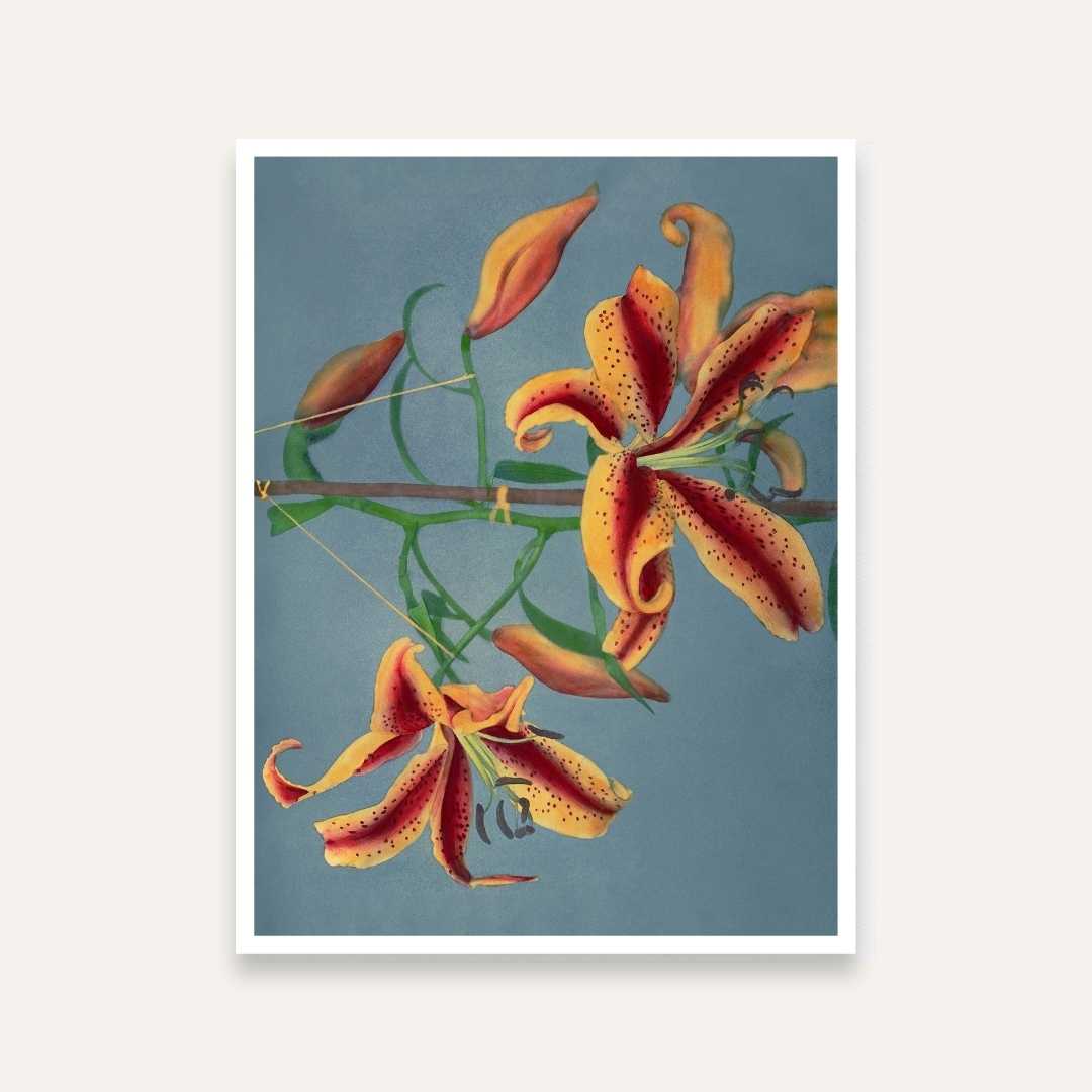 Tiger Lily Floral Painting for Living Room | Vintage Botanical Wall Art | Giclée Print 3 : 4 Vertical Premium Wall Art Canvas by MeriDeewar