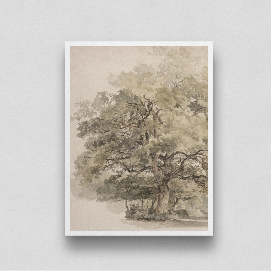 Tree Watercolor Vintage Painting by George Andries Roth 3 : 4 Vertical New Premium Wall Art Canvas by MeriDeewar