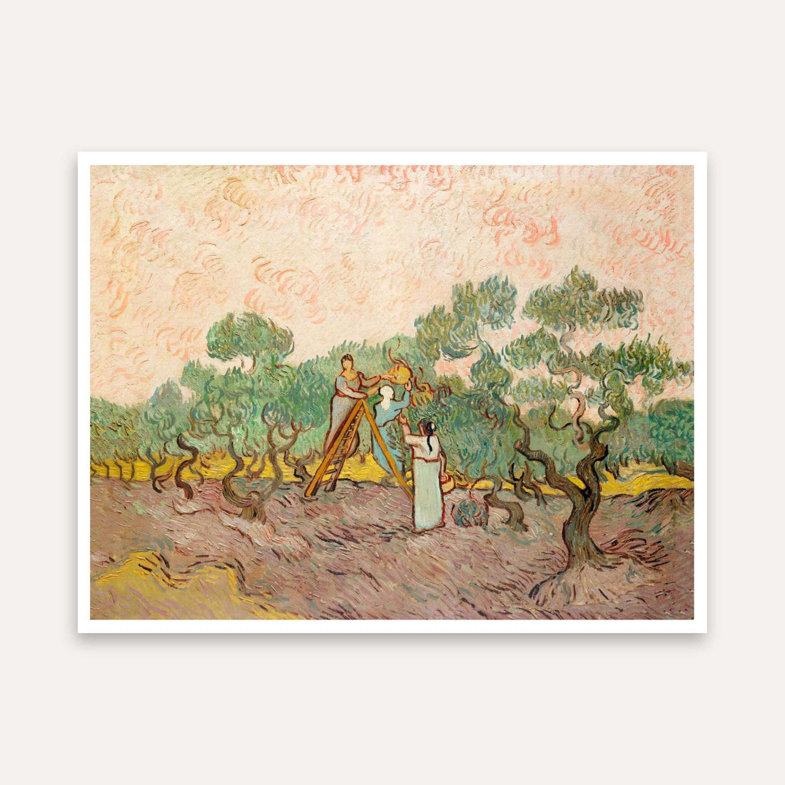 Van Gogh Olive Harvest Painting for Living Room | Nature Scenery Wall Art | MeriDeewar 5 : 4 Horizontal Premium Wall Art Canvas by MeriDeewar