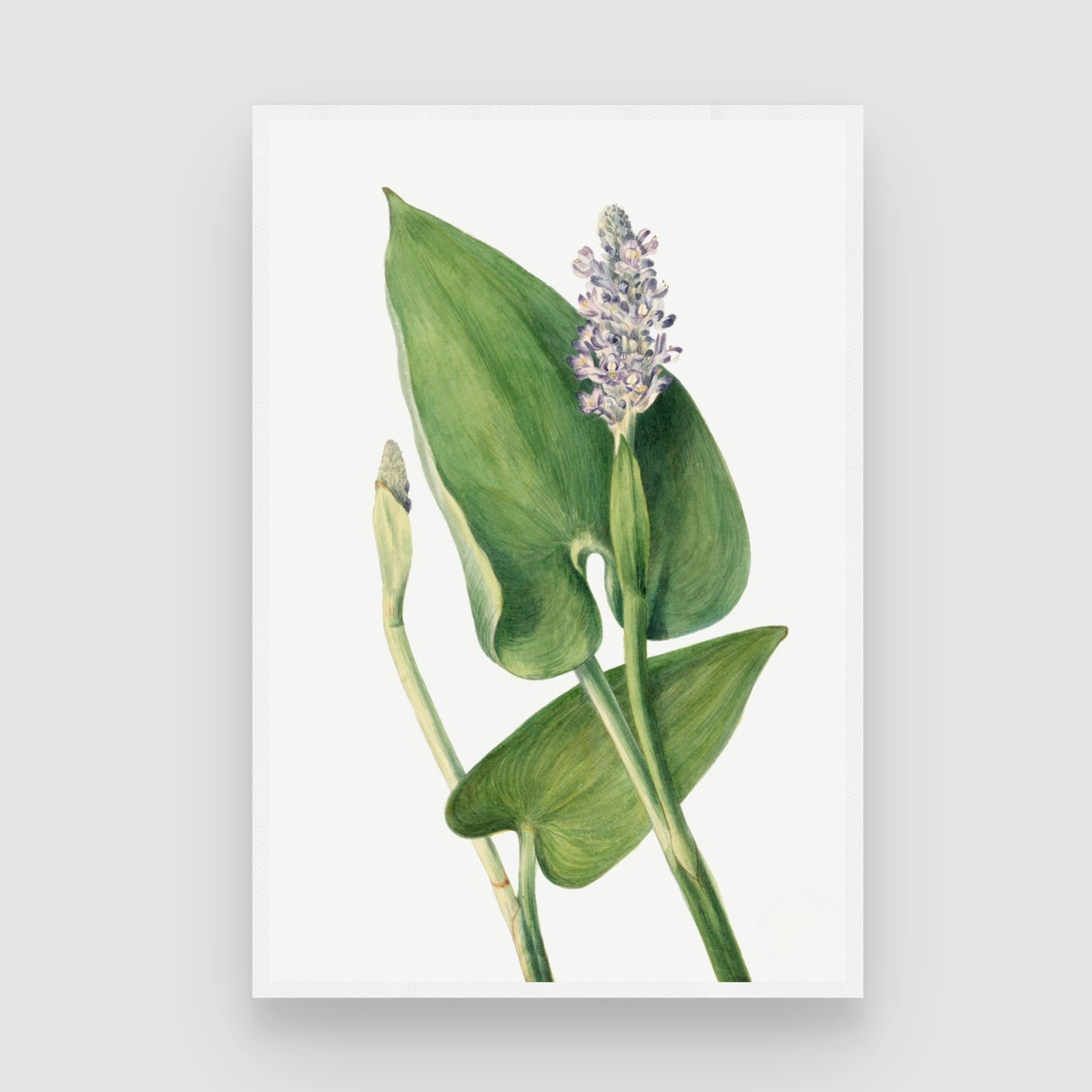 Verdant Grace – Minimal Botanical Leaf Art Print 2 : 3 Vertical Premium Wall Art Canvas by MeriDeewar