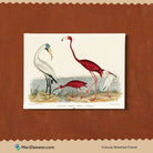 Vintage Flamingo and Ibis 3 : 4 Horizontal New Premium Wall Art Canvas by MeriDeewar