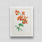 Vintage Flower/ Large Orange Lily by John Edwards 3 : 4 Vertical New Premium Wall Art Canvas by MeriDeewar