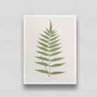 Vintage Green Leaf Poster 3 : 4 Vertical New Premium Wall Art Canvas by MeriDeewar