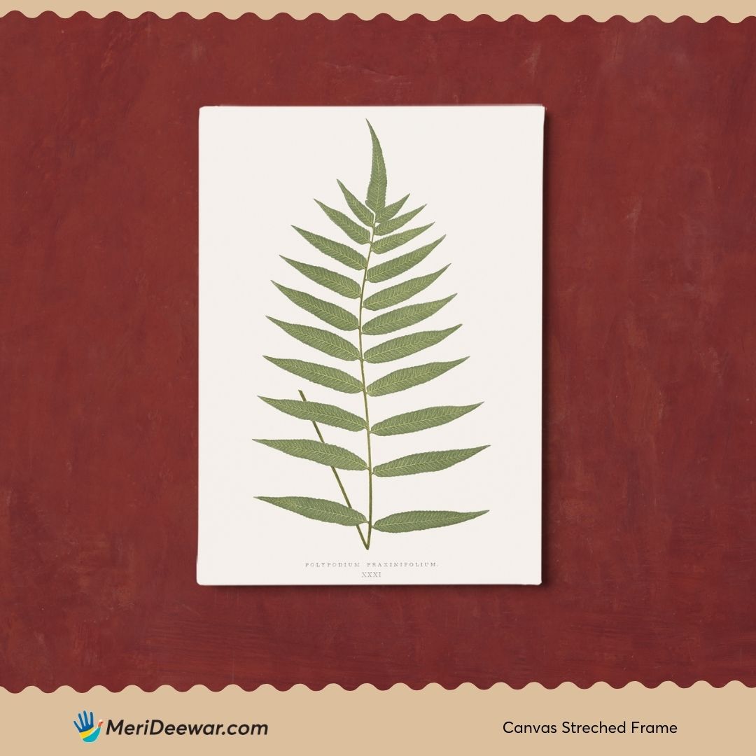 Vintage Green Leaf Poster 3 : 4 Vertical New Premium Wall Art Canvas by MeriDeewar