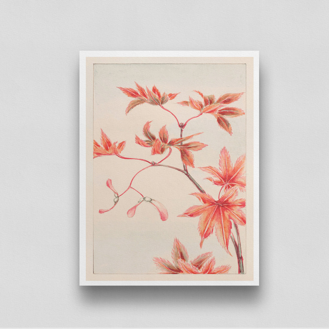 Vintage Japanese Maple Tree Branch 3 : 4 Vertical New Premium Wall Art Canvas by MeriDeewar