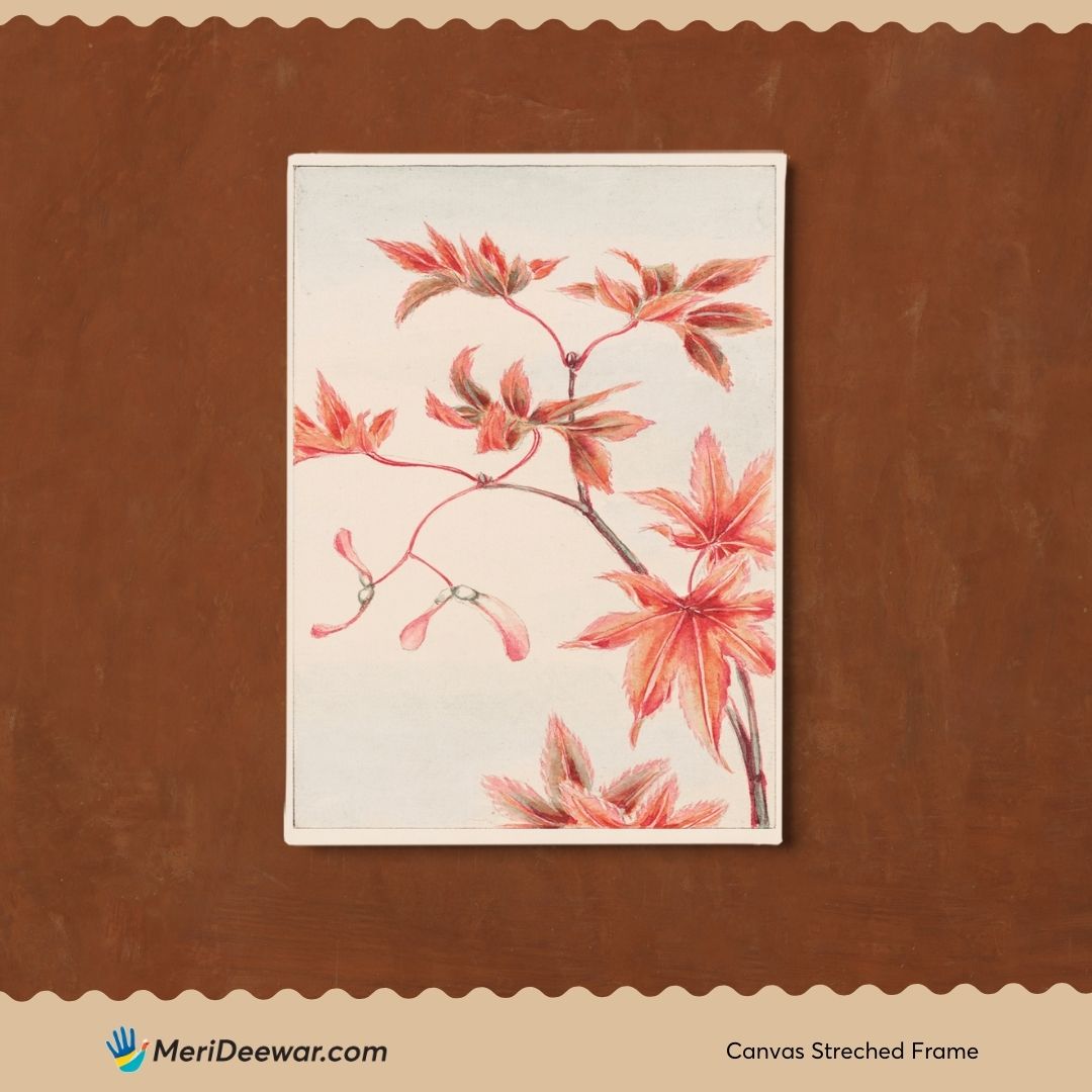 Vintage Japanese Maple Tree Branch 3 : 4 Vertical New Premium Wall Art Canvas by MeriDeewar