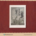 Vintage Lilium Painting 3 : 4 Vertical New Premium Wall Art Canvas by MeriDeewar
