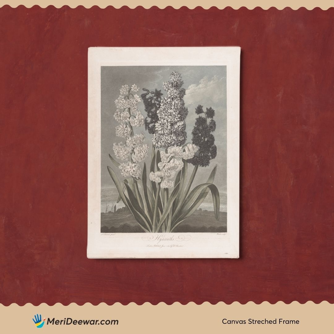 Vintage Lilium Painting 3 : 4 Vertical New Premium Wall Art Canvas by MeriDeewar