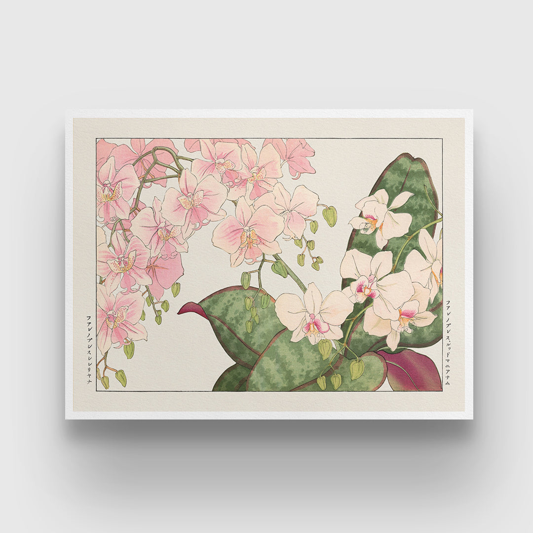 Vintage orchid flowe 3 : 4 Horizontal New Premium Wall Art Canvas by MeriDeewar
