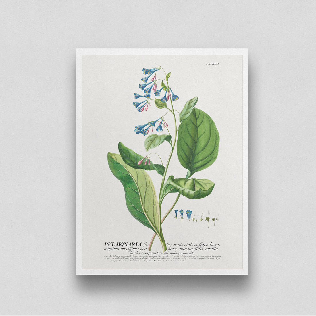 Vintage wild flowers Poster 3 : 4 Vertical New Premium Wall Art Canvas by MeriDeewar