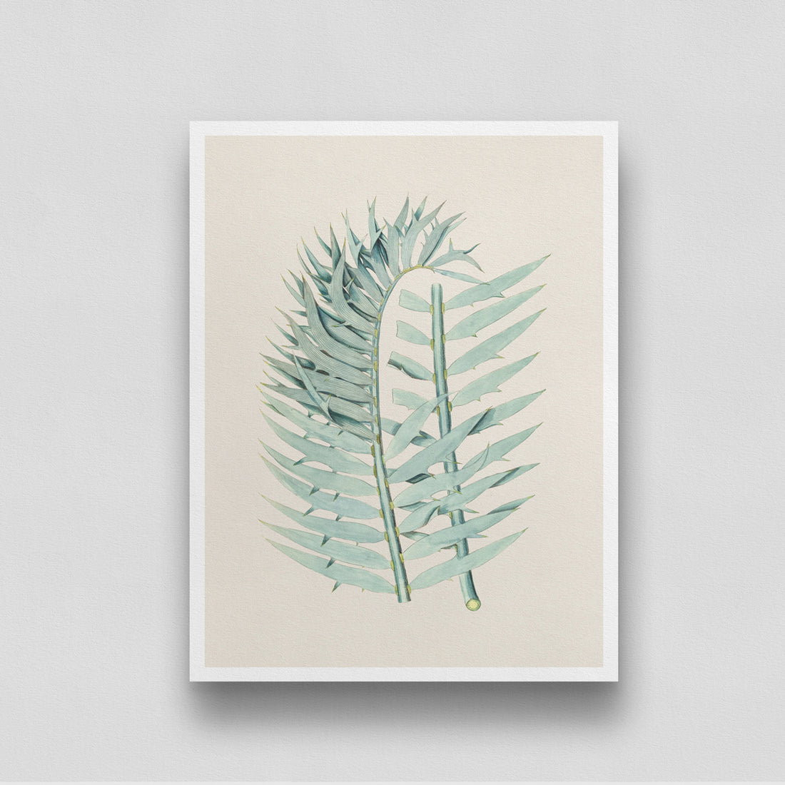 Watercolor Leaf Poster 3 : 4 Vertical New Premium Wall Art Canvas by MeriDeewar