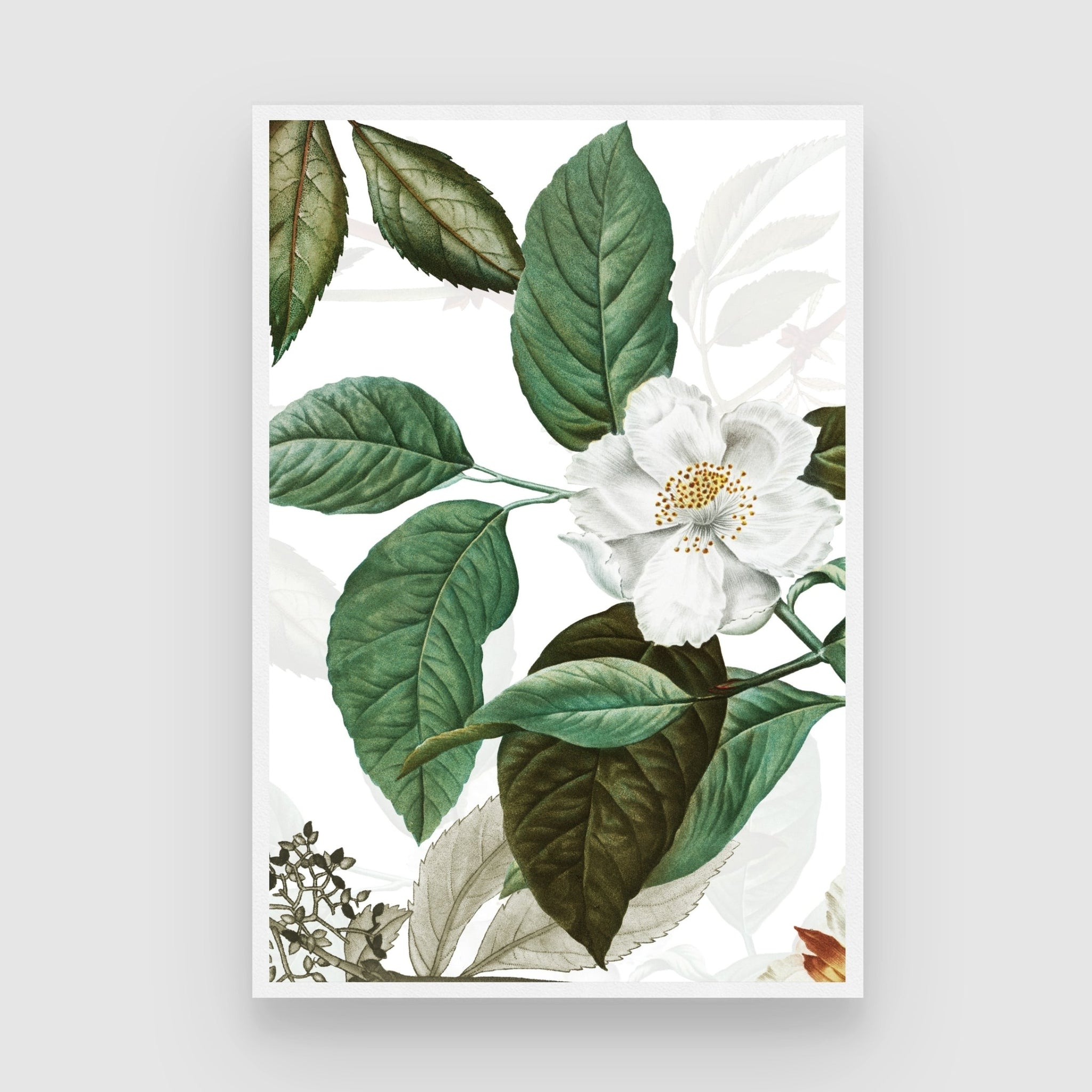 White Blossom Elegance – Botanical Wall Art Print 2 : 3 Vertical Premium Wall Art Canvas by MeriDeewar