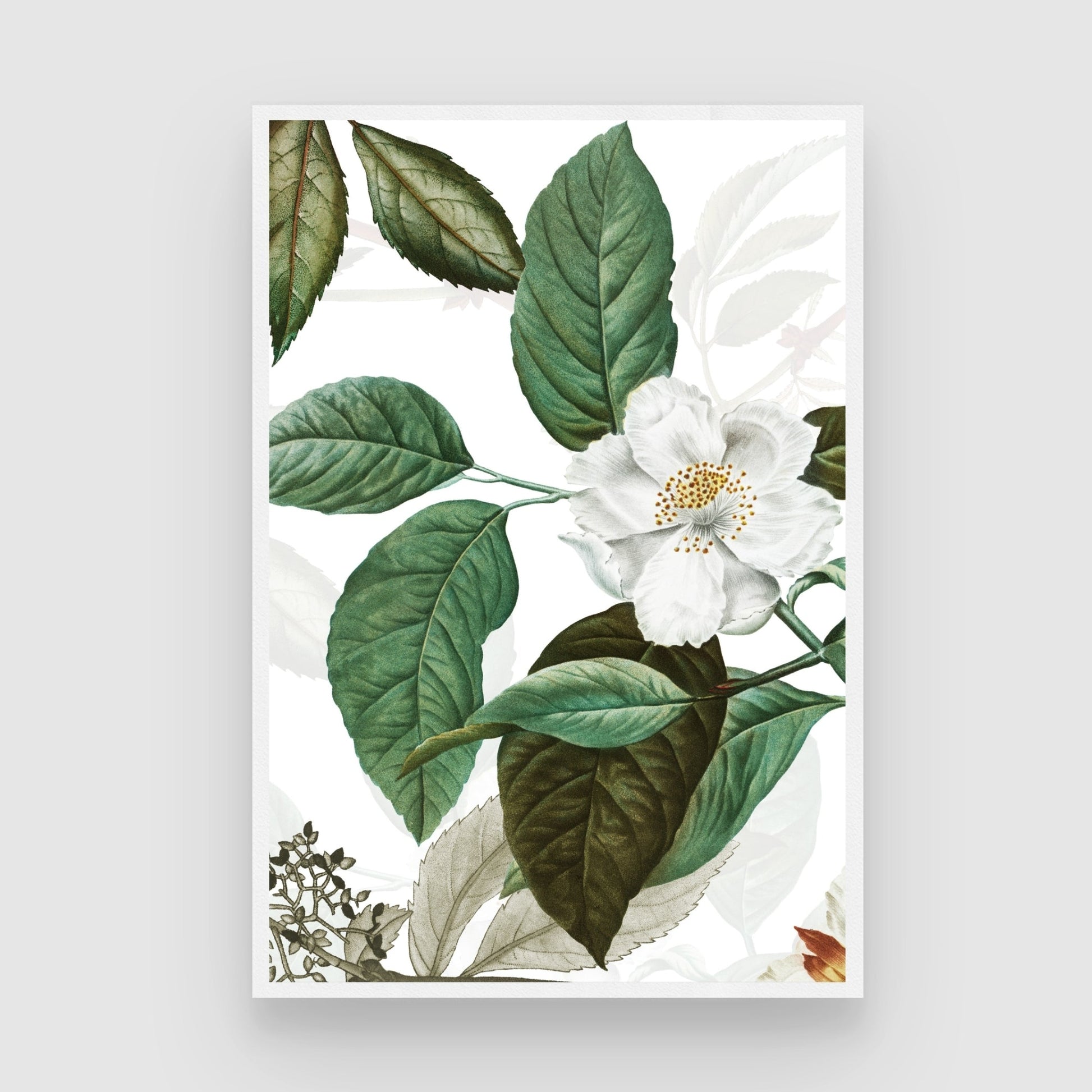 White Blossom Elegance – Botanical Wall Art Print 2 : 3 Vertical Premium Wall Art Canvas by MeriDeewar