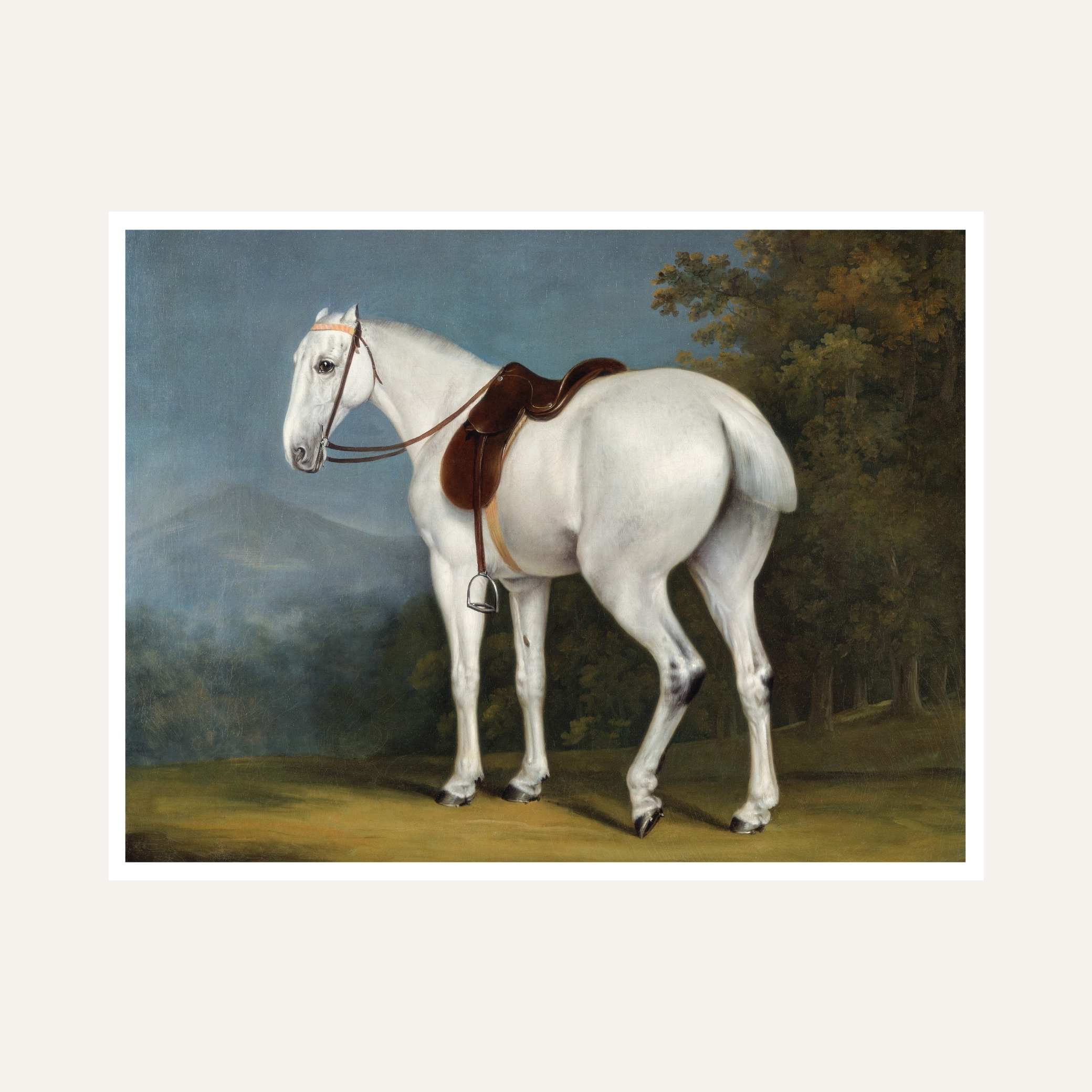 White Horse Painting for Living Room | Classic Equestrian Wall Art | Giclée Print 6 : 5 Horizontal Premium Wall Art Canvas by MeriDeewar