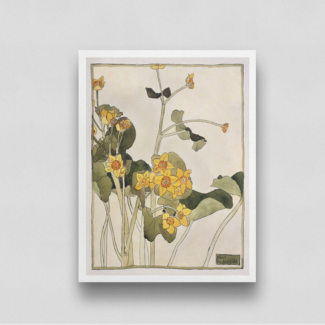 Yellow Flowers/ Marsh Marigold by Hannah Borger 3 : 4 Vertical New Premium Wall Art Canvas by MeriDeewar