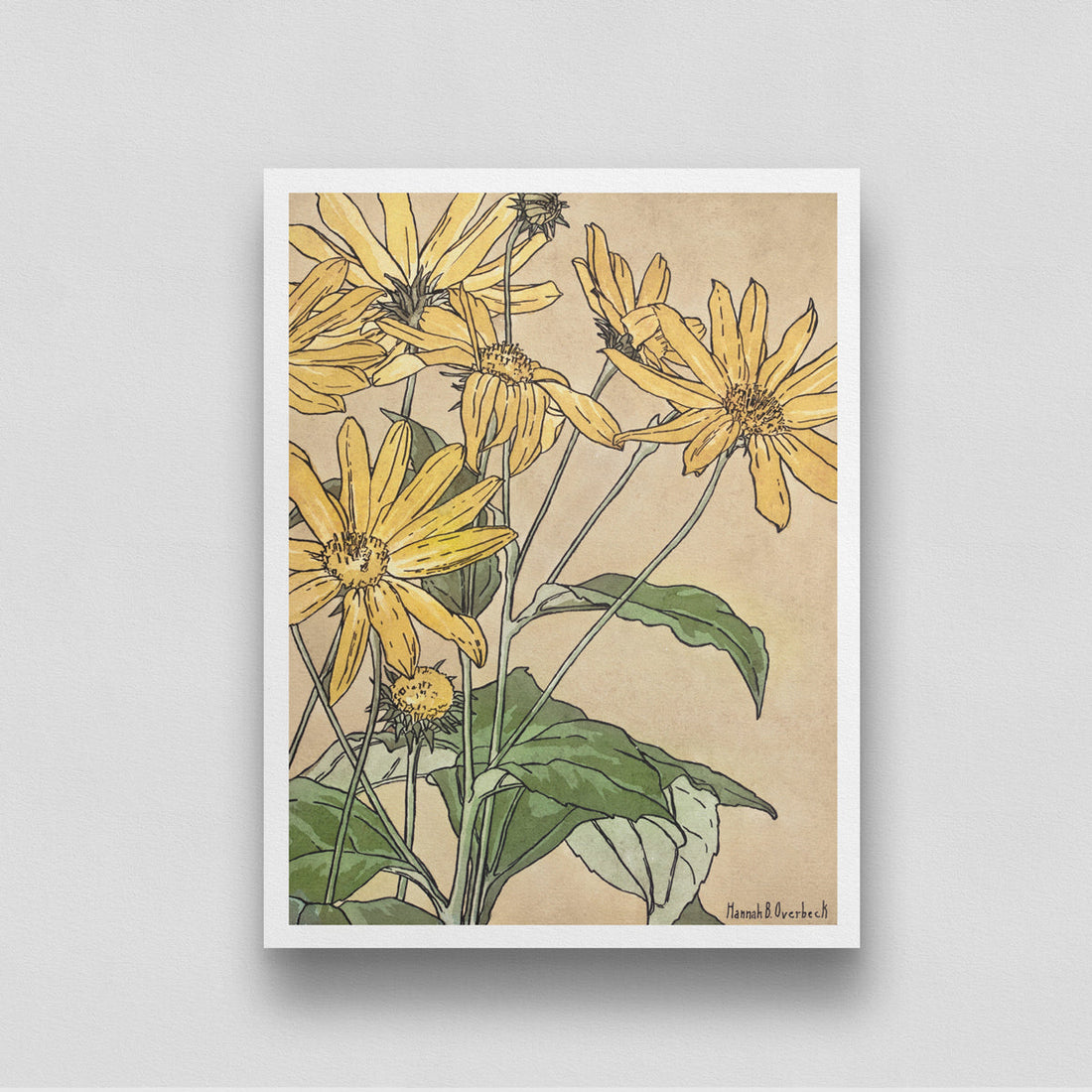 Yellow Sunflowers Painting by Hannah Borger 3 : 4 Vertical New Premium Wall Art Canvas by MeriDeewar