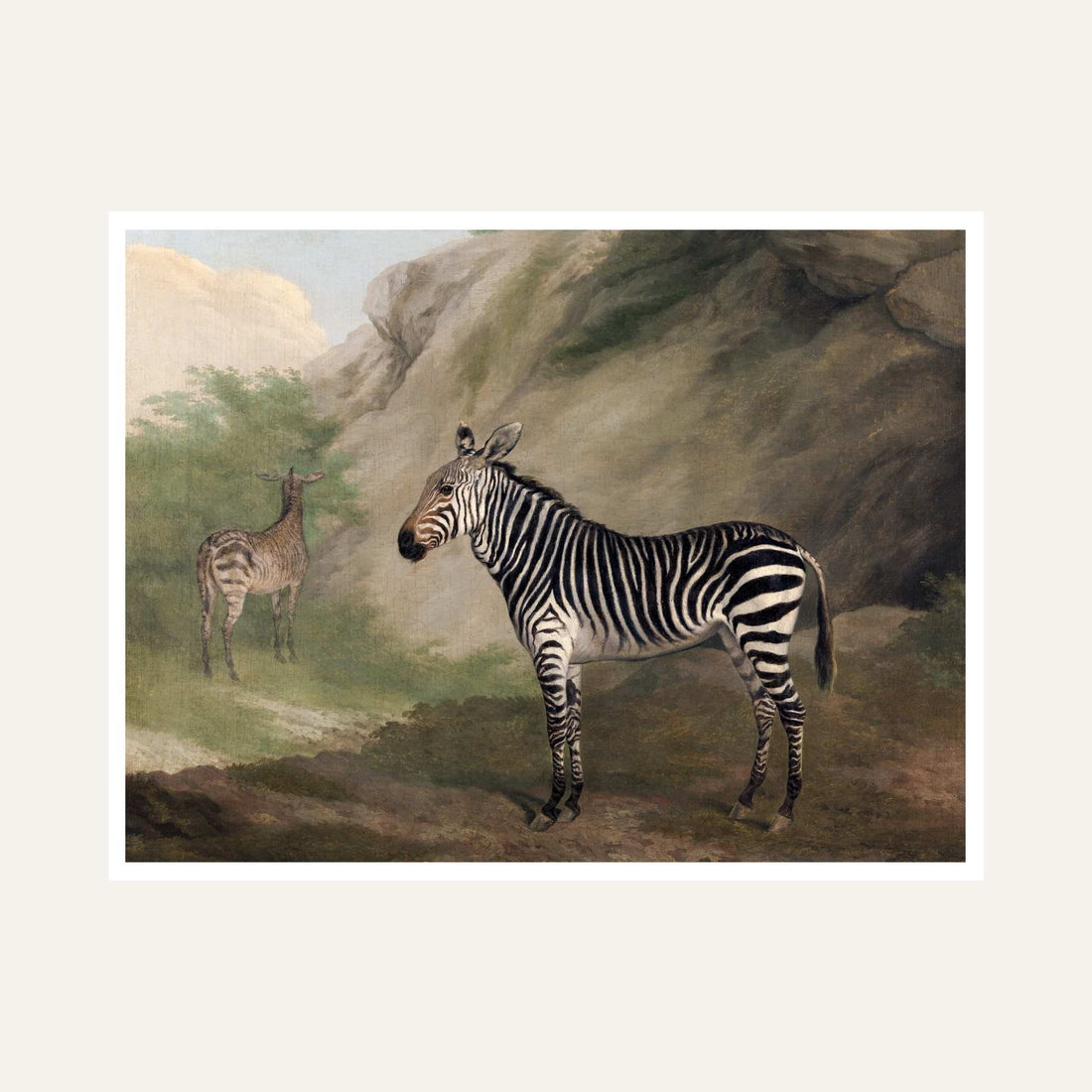 Zebra Wildlife Painting for Living Room | Vintage Animal Wall Art | Giclée Fine Art Print 6 : 5 Horizontal Premium Wall Art Canvas by MeriDeewar