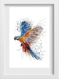 Colorful Parrot Illustration Painting - Meri Deewar - MeriDeewar
