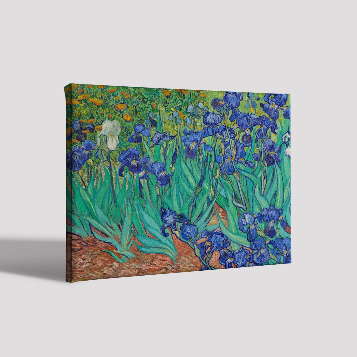 Irises growing in a garden By Van Gogh Painting - Meri Deewar - MeriDeewar