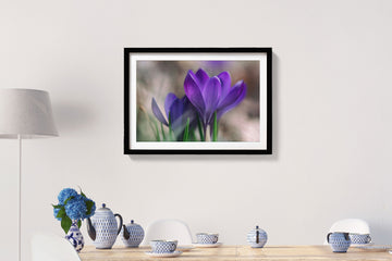 The Violet Lily Painting - Meri Deewar