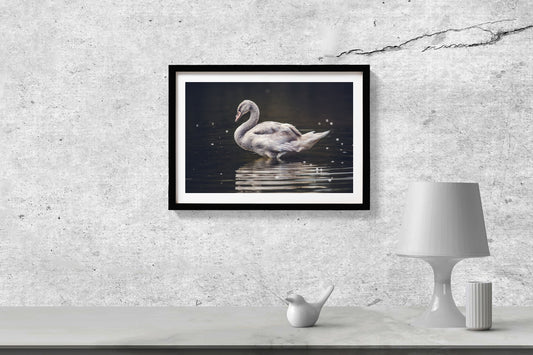 The Swan Painting - Meri Deewar