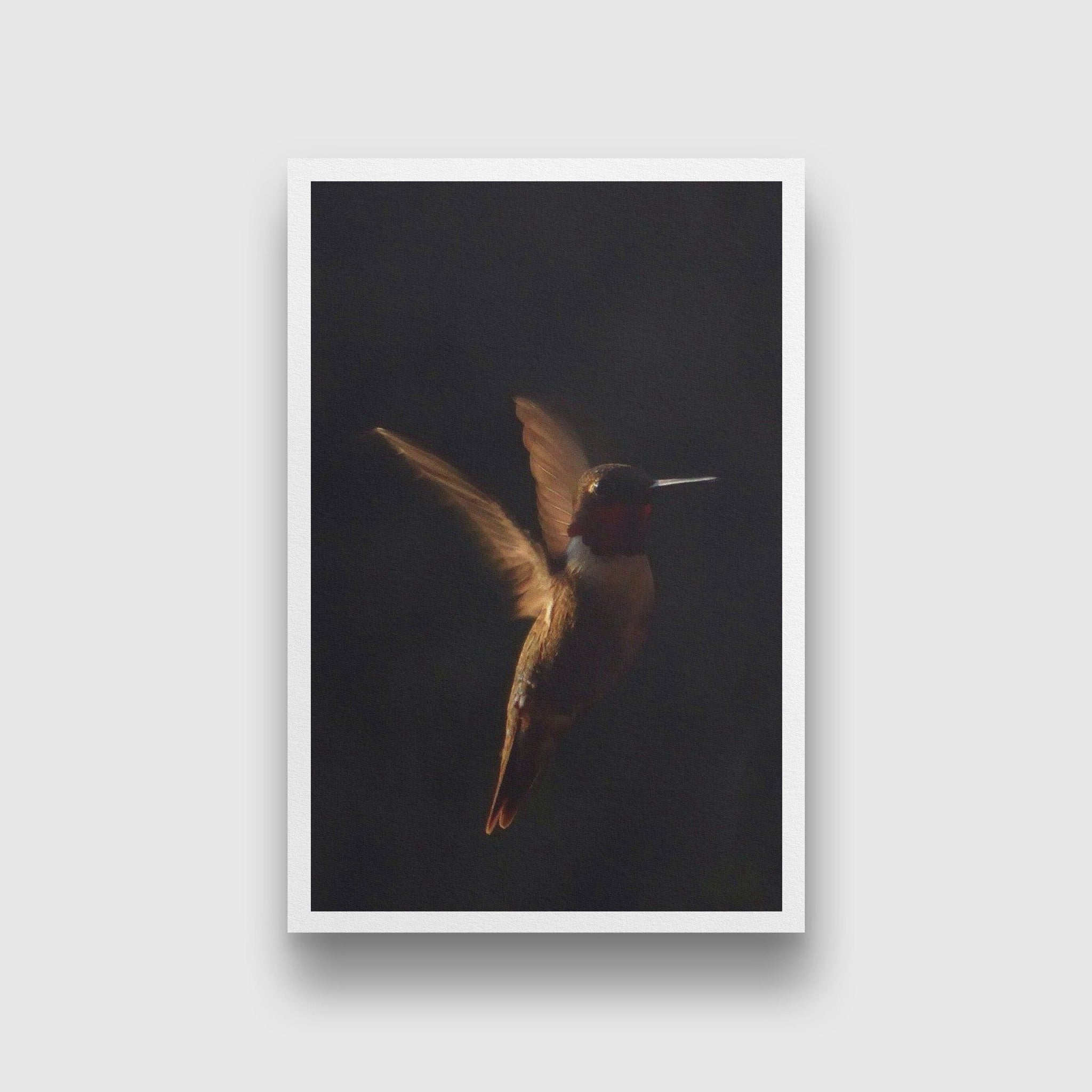 The humming bird Painting - Meri Deewar