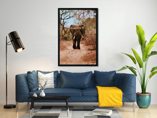 Elephant walking on forest Painting - Meri Deewar
