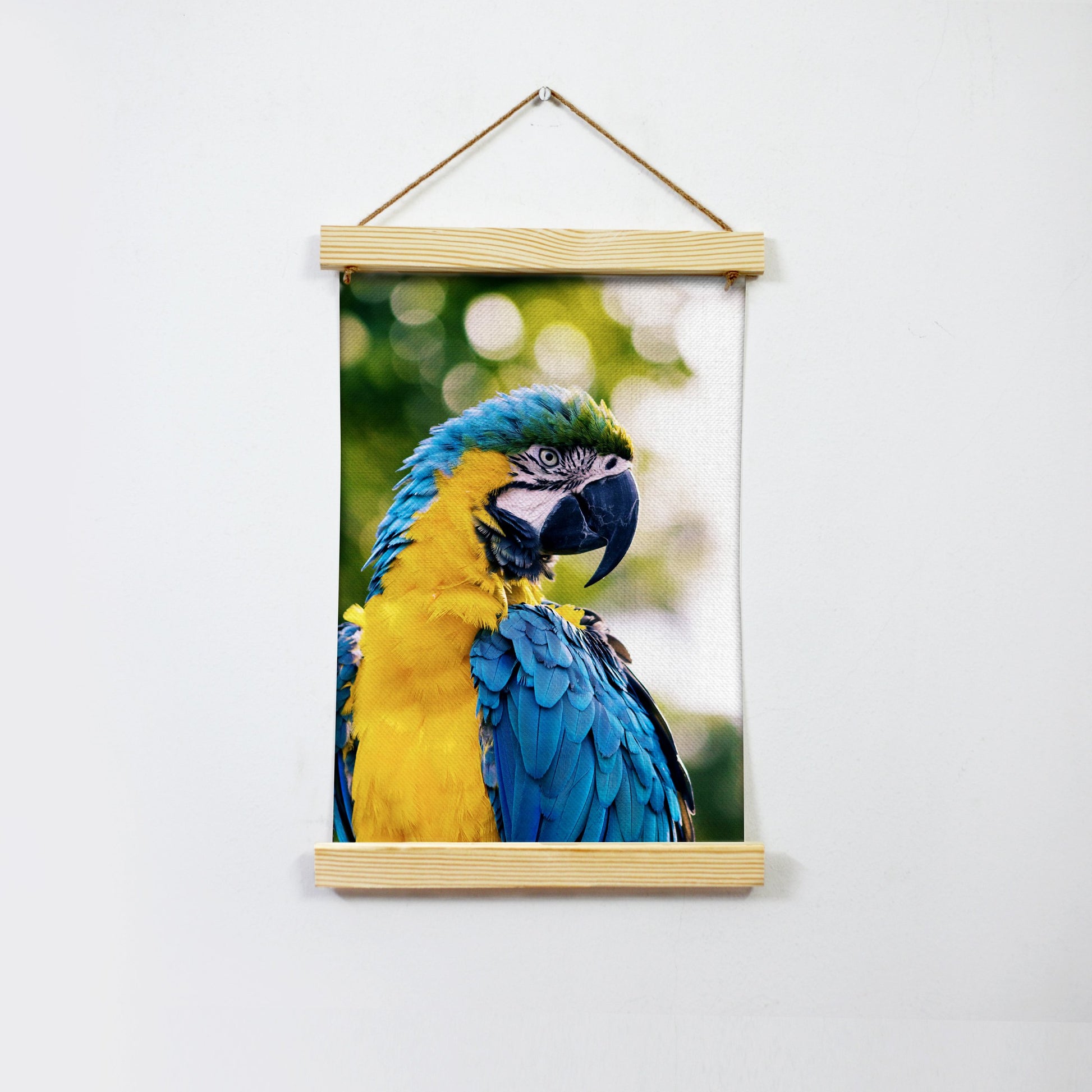 Colourful Parrot Hanging Canvas Painting - Meri Deewar - MeriDeewar
